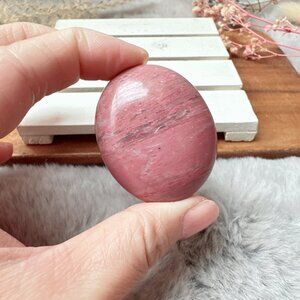 Beautiful Small Pink Petrified Wood Palm Stone